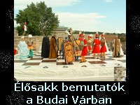 Turisztikai esemény a Budai Várban