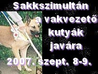 Sakkszimultán a vakvezető kutyák javára, 2007. szeptember 7-8.